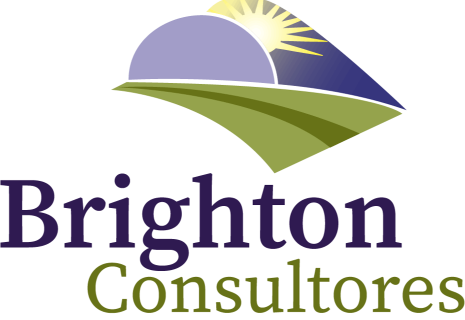 BRIGHTON CONSULTORES
